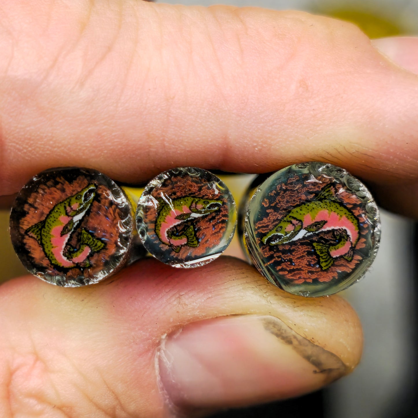 spawning coho salmon Mille